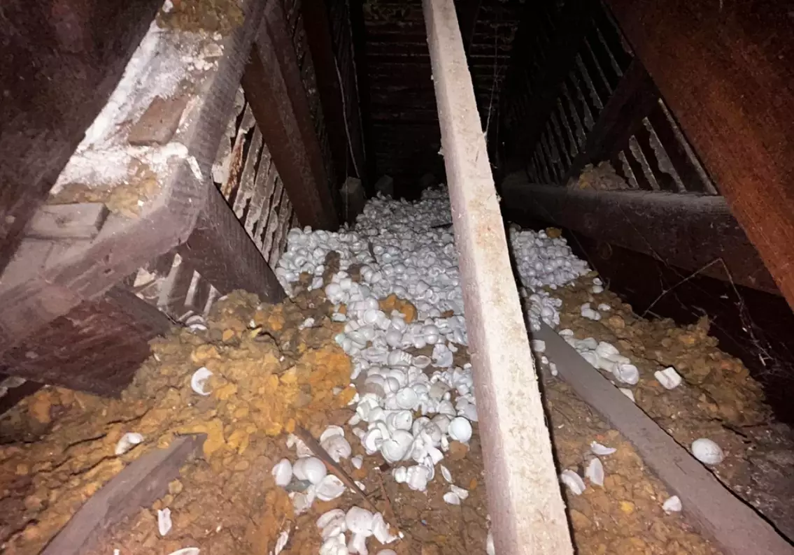 My Mother-in-law Left Me Nothing in Her Will My Mother-in-law Left Me Nothing in Her Will