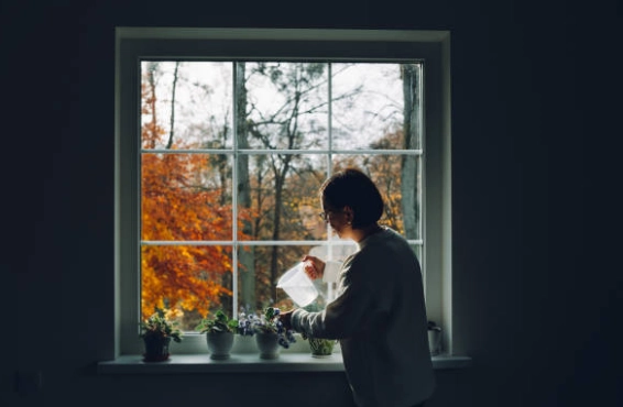  But a Secret Floorboard Box Changed Everything